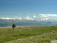 2026-05-09 Le cime di Casamaina 098a  Single photo enhanced with easyHDR 3.16.2: 2026-05-09 Le cime di Casamaina 098.jpg